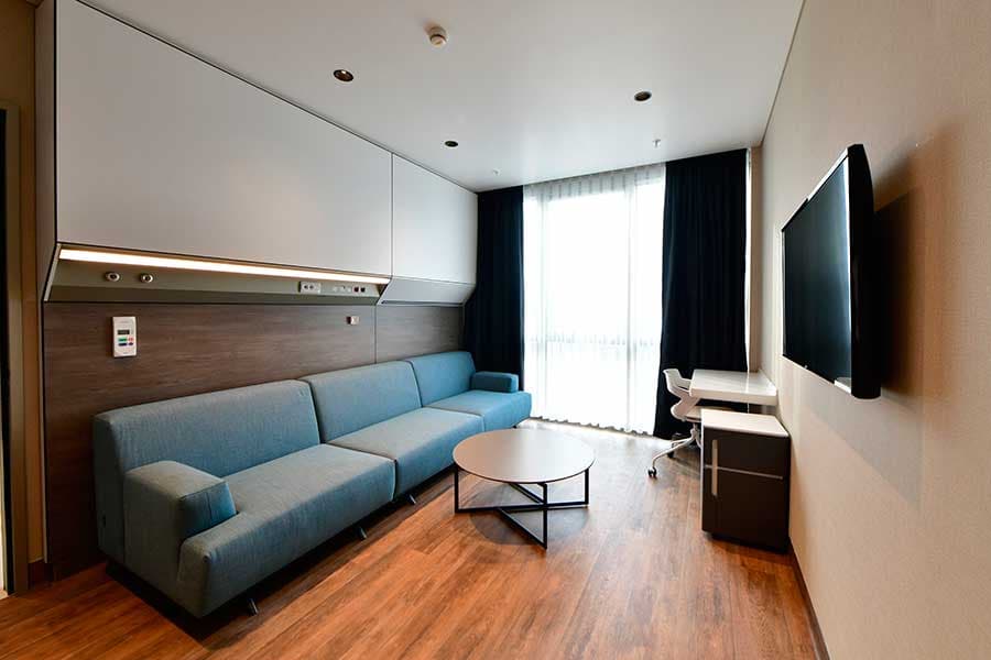 VIP suite living area with sofa and TV